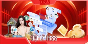 đại lý TR88