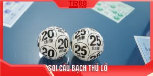 Soi cầu bạch thủ lô